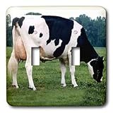 Farm Animals - Holstein Cow - Light Switch Covers - double toggle switch