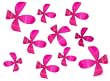 Umbra Set of 25 Wallflowers, Pink