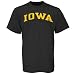 Iowa Hawkeyes Black Vertical Arch T-shirt