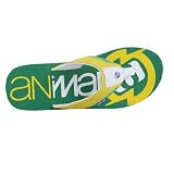 Animal Boys Jekyl Flip Flops – Green