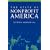 State of Nonprofit America