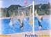 Dunn Rite DeckVolly Pool Volleyball Set