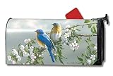 Bluebirds and Blossoms Magnetic Mailbox Cover - B00165FTB8