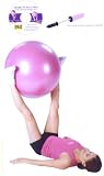 3 Lb Weighted 65 CM Exercise Ball