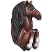 Sorrel Quarter Horse Hook