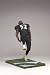 NFL Series 15: Ray Lewis 2 - Baltimore Ravens (Black Jersey)