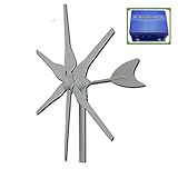 GOWE 12V/24V wind generator 300w horizontal axis wind turbine generator, start up speed 2m/s wind mill +wind/solar hybrid controller.