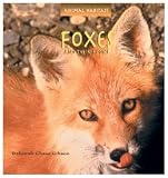 Foxes and Their Homes (Animal Habitats)