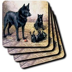 Dogs Schipperke - Schipperkes - Coasters