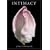 Intimacy: The Sensual Essence of Flowers