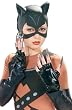Adult Catwoman Costume Kit