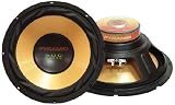 12'' 500 Watt Subwoofer