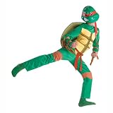 Disguise Costumes Teenage Mutant Ninja Turtles Raphael Classic Costume, Green/Brown/Red, Large