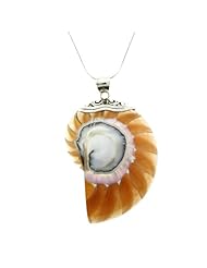 Amber Color Shell Pendant with Sterling Silver Bail - 18" Sterling Silver Chain Included