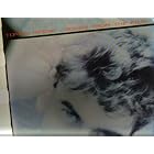 Songs From The Film by Tommy Keene (Vinyl)