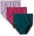 Ahh By Rhonda Shear Women's Cotton Blend Seamless Panty 3 Pack
