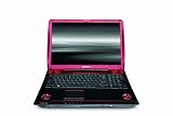 Toshiba Qosmio X305-Q725 17.0-Inch Laptop (Intel Core 2 Quad Q9000 Processor, 4 GB RAM, 384 GB Hard Drive, DVD SuperMulti Drive, Vista Premium)