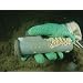 Underwater View of a U.S. Navy Flashlight Held Within a Divers Glove Sports Photographic Poster Print, 24x32