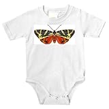 Onesie with butterfly, insect, tiger, jersey