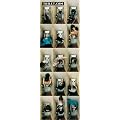 Empire 170156 Toilet Cam, T�rposter / XXL Poster - Pictures ca. 158 x 53 cm