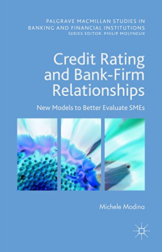 Credit Rating and Bank-Firm Relationships: New Models to Better Evaluate SMEs (Palgrave Macmillan Studies in Banking and Financial Institutions)