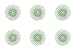 6-Piece Light Green 3M Micron Radial Rotary Disc Set 9/16