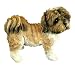 Kitchen & Housewares : Shih Tzu (Shi-Tzu) Dog Ornament - New Gift Idea from Leonardo!