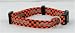 Cleveland Browns NFL Pet Collar Adjustable 3/4 Web (Medium)