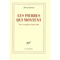 Les pierres qui montent : Notes et croquis de l'ann�e 2008