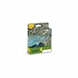 Rio Gold Fly Line Line Weight WF4F
