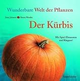 Der Kï¿½rbis