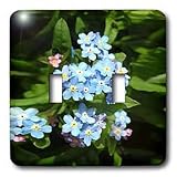 Flowers - Forget me not - Light Switch Covers - double toggle switch