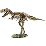 T-Rex Skeleton Model