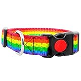 Hundehalsband Regenbogen
