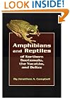 Amphibians and Reptiles of Northern Guatemala, the Yucatan, and Belize (Animal Natural History Series)