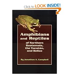 Amphibians and Reptiles of Northern Guatemala, the Yucatan and Belize (Animal Natural History Series)