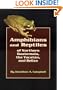 Amphibians and Reptiles of Northern Guatemala, the Yucatan, and Belize (Animal Natural History Series)