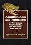 Amphibians and Reptiles of Northern Guatemala, the Yucatan, and Belize