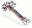 Tree of Life with Doves Mezuzah from the Artazia Collection #694 GM