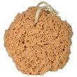 Kingsley Synthetic 5" Bath Sponge On Rope