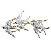 Flying Swallow Brooch