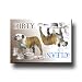 English Bulldog Dishwasher Magnet No 2