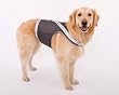 LARGE - GRAY - Doggles Reflective Mesh Walking Harness