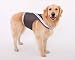 MEDIUM - GRAY - Doggles Reflective Mesh Walking Harness