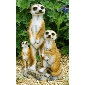 Family Of Three Meerkats