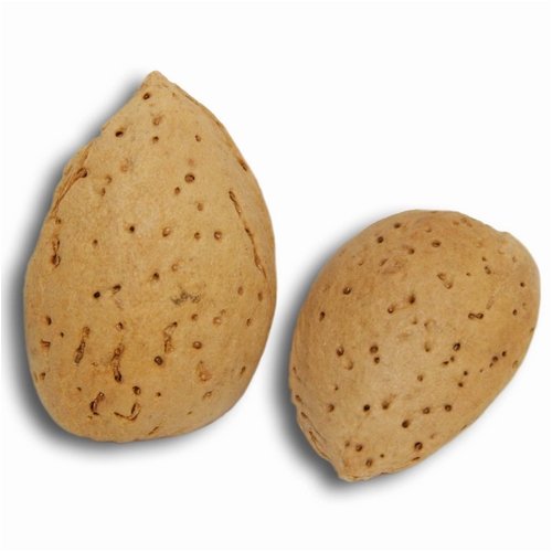 Almonds in Shell Raw by Bulk Nuts
