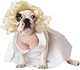 Pup-A-Razzi Silver Screen Starlet Dog Costume, Small, White