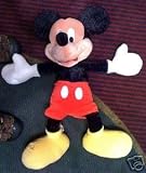 Walt Disney World