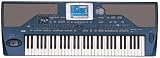 Produkt-Bild: KORG PA-800