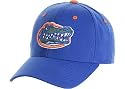 Florida Gators Adult One-Fit Hat